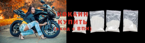 стафф Арсеньев