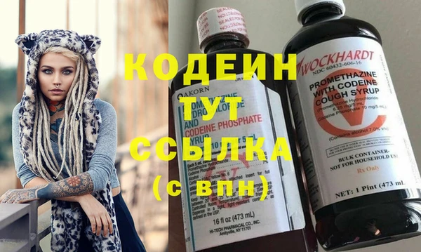 стафф Арсеньев