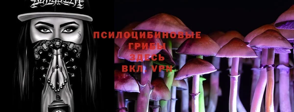 стафф Арсеньев