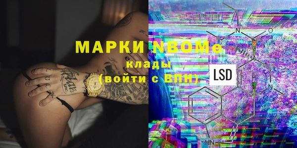 стафф Арсеньев