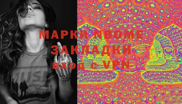 стафф Арсеньев
