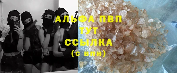 стафф Арсеньев
