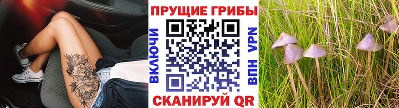 Псилоцибиновые грибы MAGIC MUSHROOMS  магазин    Волгоград 